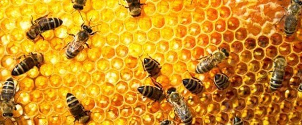 Gebruik propolis bij de eerste tekenen van verkoudheid of griep