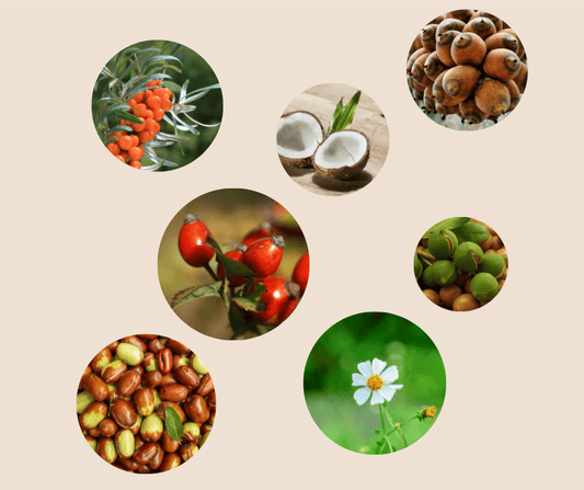 natuurlijke oliën huidveroudering