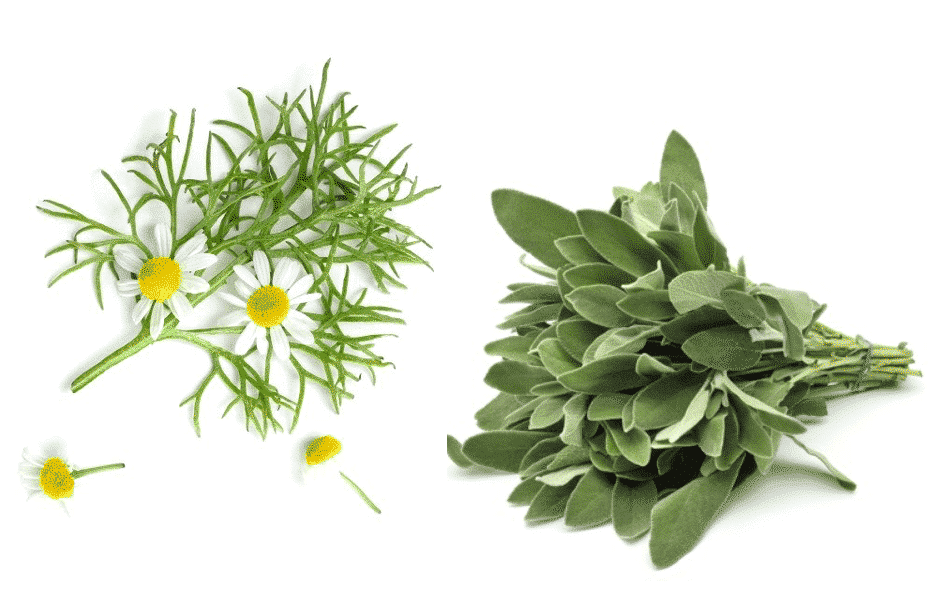 4 natuurlijke anti-aging middeltjes Afbeelding