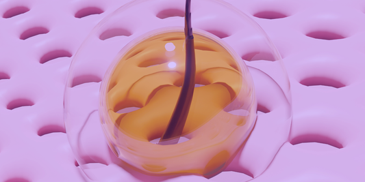 een closeup van een haartje en de hoofdhuid, gevoed met een druppel natuurlijke olie