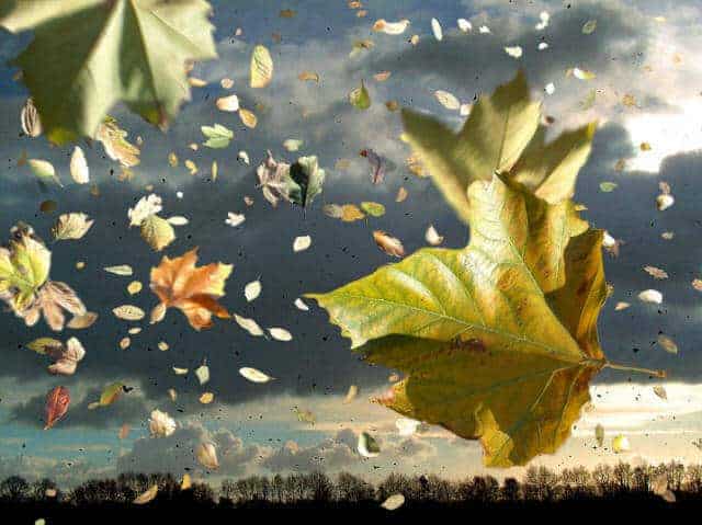5 tips om een herfstdip te voorkomen Afbeelding