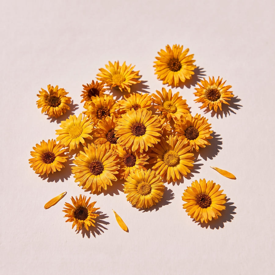 Calendula extract