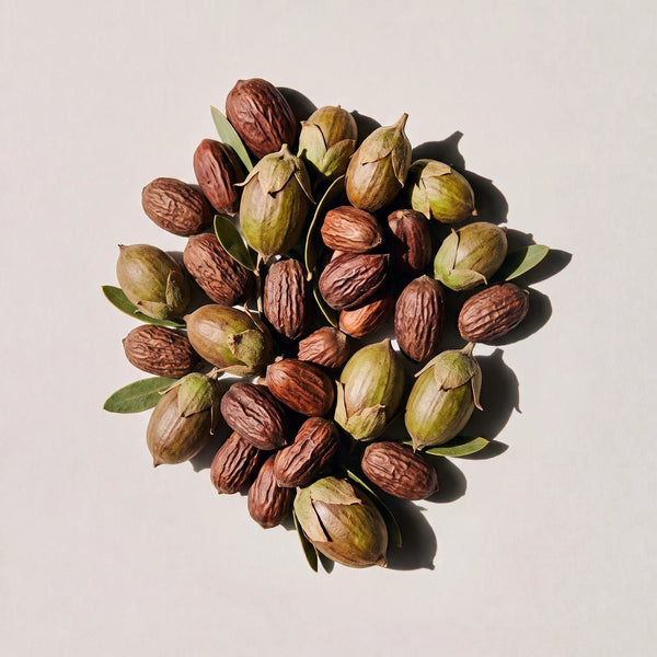 Jojoba olie
