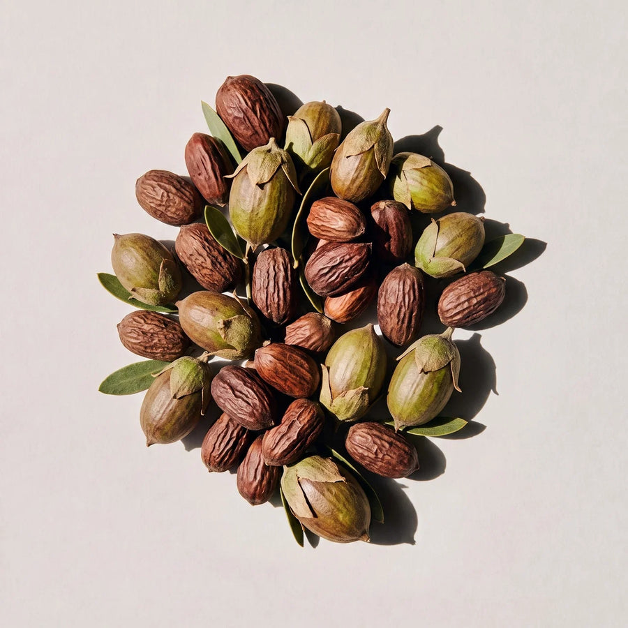 Jojoba olie