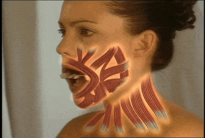 facialflex02
