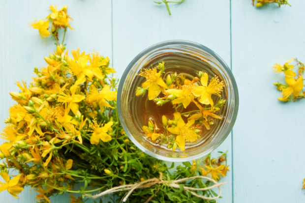 hypericum op tafel en in een potje water om te laten trekken